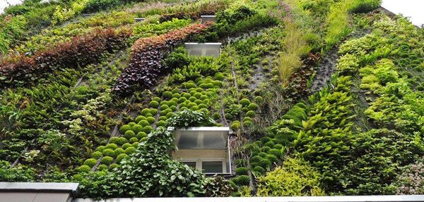 Озелененная стена дома - Sputnik Грузия