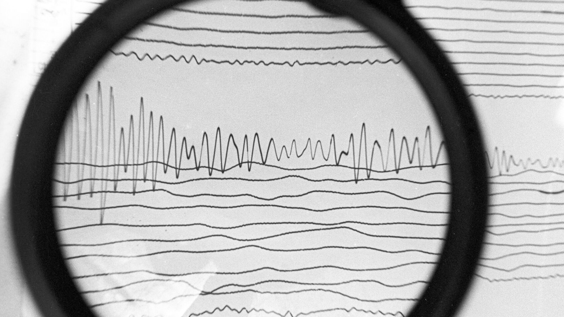 Сейсмограмма землетрясения, архивное фото - Sputnik Грузия, 1920, 08.07.2021