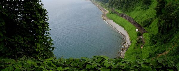 Вид на Зеленый мыс и черноморское побережье Аджарии со смотровой площадки батумского Ботанического сада - Sputnik Грузия