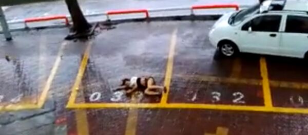 Тайфун Нида сбивал с ног людей и сносил ларьки на улицах Гуанчжоу - Sputnik Грузия