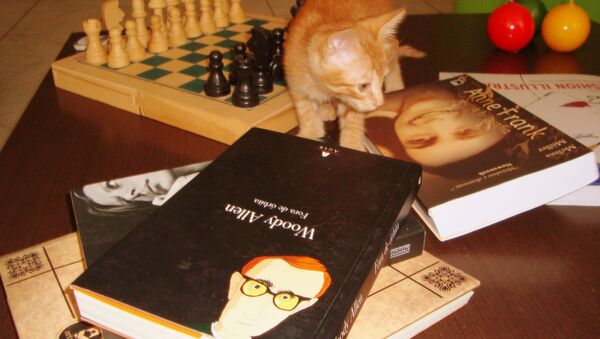 წიგნები, ჭადრაკი და კატა მაგიდაზე - Sputnik საქართველო