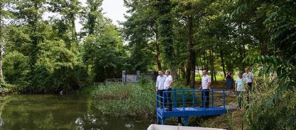 კოლხეთის დაბლობი კოლხეთის დაბლობი - Sputnik საქართველო