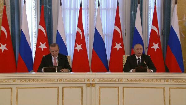 Путин и Эрдоган рассказали об итогах встречи в Санкт-Петербурге - Sputnik Грузия