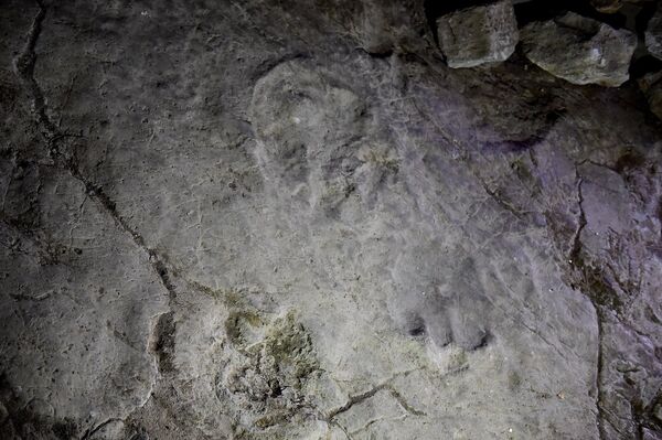 დღეიდან სათაფლიაში ვიზიტორებს დინოზავრები დახვდებათ - Sputnik საქართველო