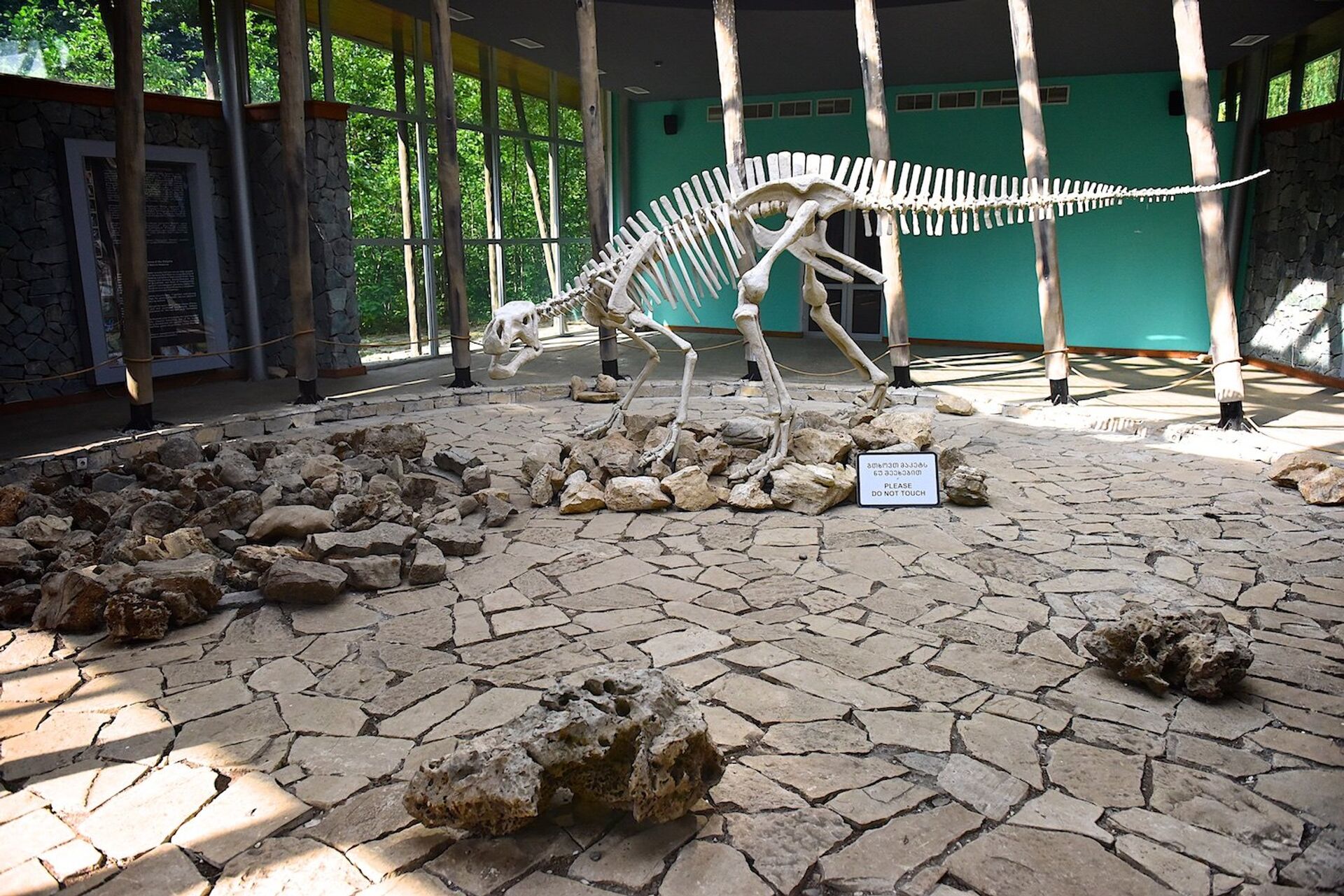 Скелет динозавра в здании, где размещены материалы, посвященные памяти ученого и исследователя Петрэ Чабукиани, который обнаружил пещеру в Сатаплиа. - Sputnik Грузия, 1920, 01.04.2022