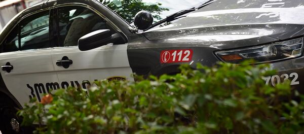 პოლიცია პოლიცია - Sputnik საქართველო