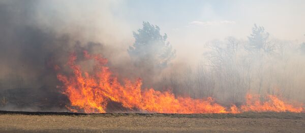 Пожары - Sputnik Грузия