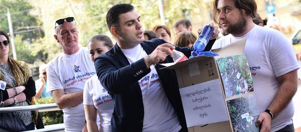 Акция протеста партии Свободные демократы - Sputnik Грузия