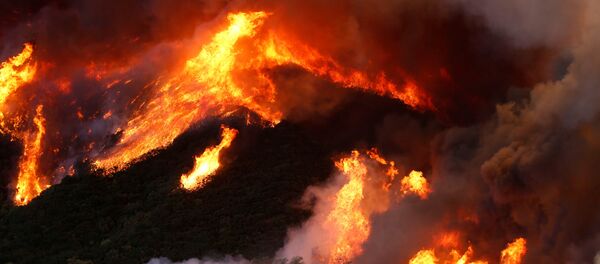 Пожары в Калифорнии, США - Sputnik Грузия