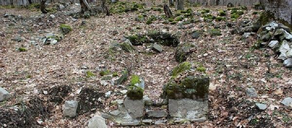 Дворище, найденное в Лагодехи - Sputnik Грузия