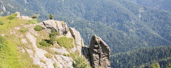 Боржоми-Харагаульский Национальный парк - Sputnik Грузия