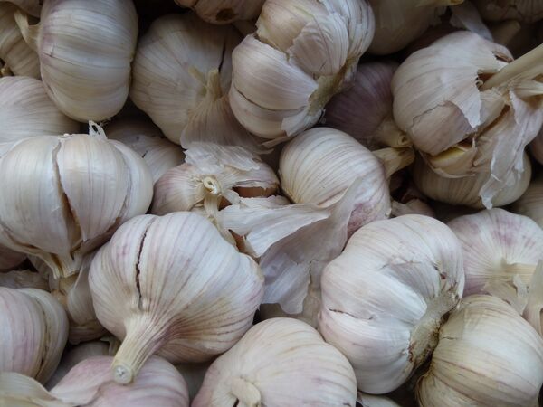 ხალხური რეცეპტები რესპირატორული დაავადებების პროფილაქტიკისათვის - Sputnik საქართველო