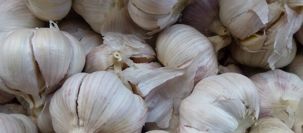 ნიორი ნიორი - Sputnik საქართველო