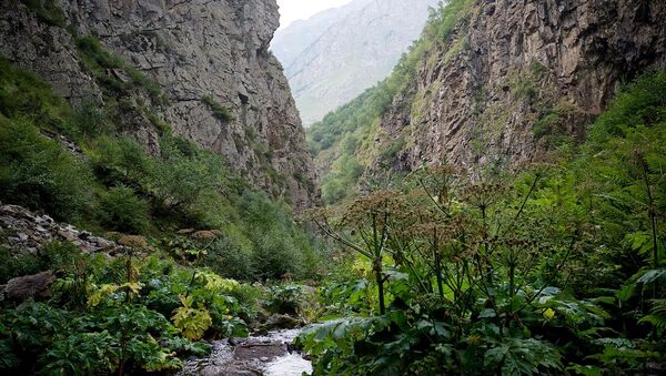 Одно из ущелий в горах Казбегского района - Sputnik Грузия