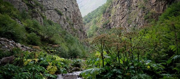 Одно из ущелий в горах Казбегского района - Sputnik Грузия