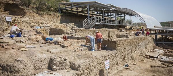 არქეოლოგებმა საქართველოში უძველესი უნიკალური ძეგლები აღმოაჩინეს არქეოლოგებმა საქართველოში უძველესი უნიკალური ძეგლები აღმოაჩინეს - Sputnik საქართველო