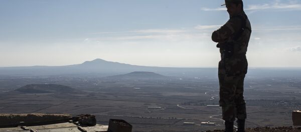 Провинция Кунейтра в Сирии - Sputnik Грузия