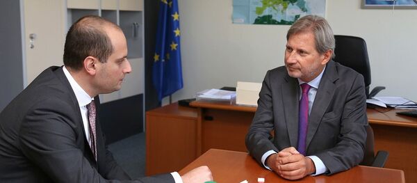 Михаил Джанелидзе и Йоханес Хан - Sputnik Грузия