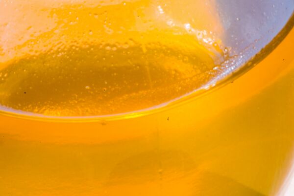 თაფლი - Sputnik საქართველო