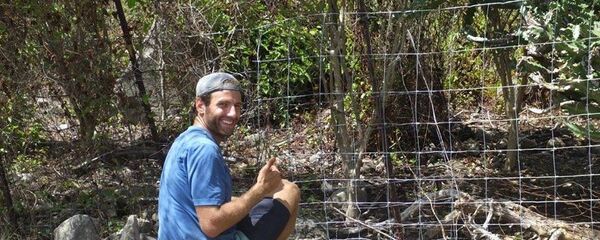 ნიკა მაღრაძე კუნძულზე ნიკა მაღრაძე კუნძულზე - Sputnik საქართველო