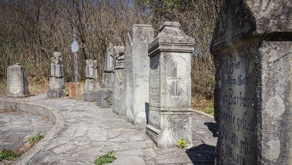 Немецкое кладбище в деревне Асурети - Sputnik Грузия