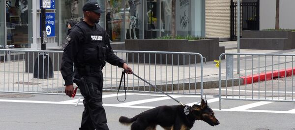 Сотрудники полиции на улицах Бостона - Sputnik Грузия