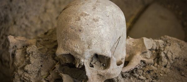 აღმოჩენილი თავის ქალა - Sputnik საქართველო