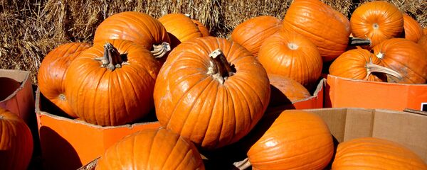 გოგრა გოგრა - Sputnik საქართველო