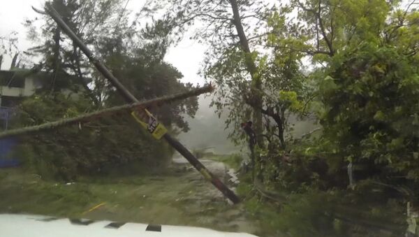 Затопленные улицы и поваленные деревья - последствия урагана Мэтью на Гаити - Sputnik Грузия