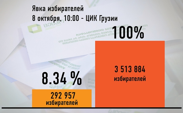 Явка избирателей на парламентских выборах в Грузии, 8 октября, 10:00 - Sputnik Грузия