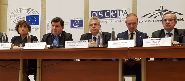 უცხოური მისიების დამკვირვებლები უცხოური მისიების დამკვირვებლები - Sputnik საქართველო