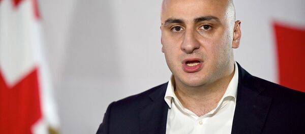 ნიკა მელია - Sputnik საქართველო