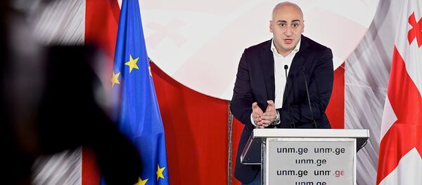 ნიკა მელია ნიკა მელია - Sputnik საქართველო