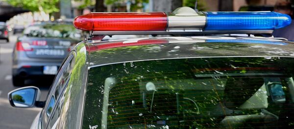 პოლიცია პოლიცია - Sputnik საქართველო