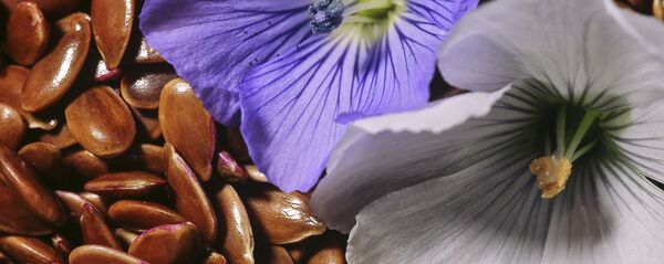 სელი სელი - Sputnik საქართველო