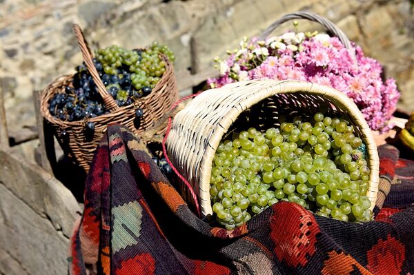 Виноград - Sputnik საქართველო