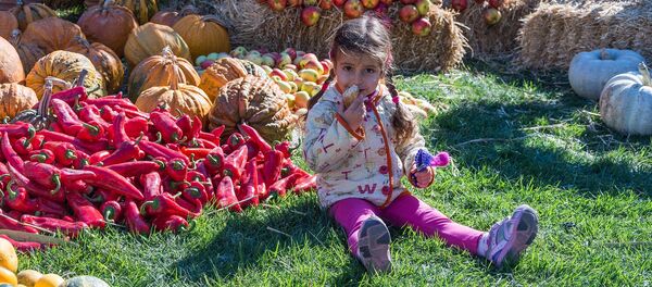 Девочка на выставке цветов на празднике Тбилисоба - Sputnik Грузия