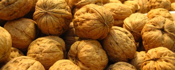 კაკალი კაკალი - Sputnik საქართველო