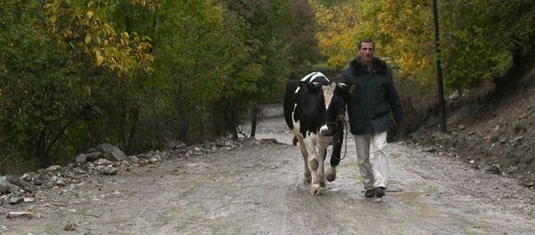 Фильм Священная корова - Sputnik Грузия