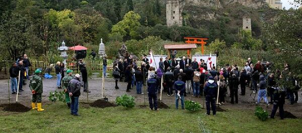 იაპონური ბაღი - Sputnik საქართველო