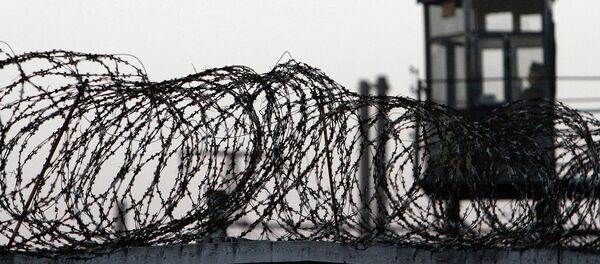 კოლონია კოლონია - Sputnik საქართველო