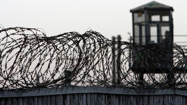 კოლონია - Sputnik საქართველო