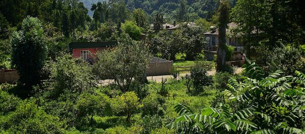 სახლები მაღალმთიან აჭარაში სახლები მაღალმთიან აჭარაში - Sputnik საქართველო