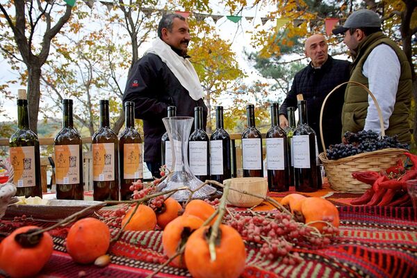Тбилиси - город маленький, поэтому на празднике грузинского вина и кулинарии нередко встречались старые знакомые и друзья, которые обменивались новостями и вели неторопливую беседу - Sputnik Грузия