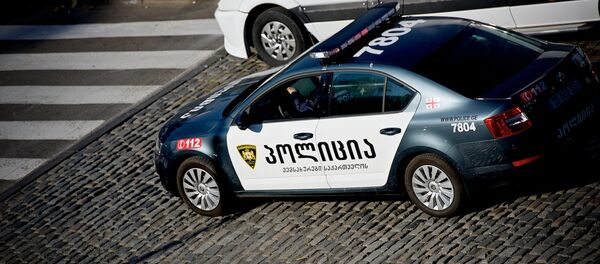 Патрульная полиция - Sputnik Грузия