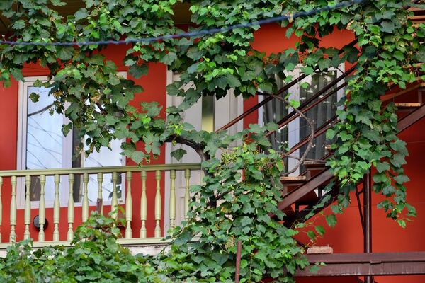 Тбилисские дворы – Грузия в миниатюре - Sputnik Грузия