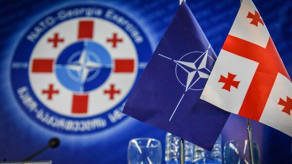 В декларации НАТО нет записи о том, что Грузия станет членом Альянса