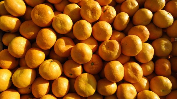 Сбор урожая мандаринов - Sputnik Грузия