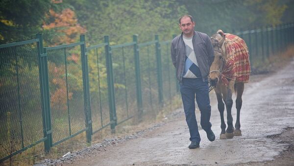 Человек с лошадью идет по дороге у Тбилисского моря - Sputnik Грузия