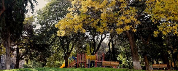 შემოდგომა თბილისში შემოდგომა თბილისში - Sputnik საქართველო